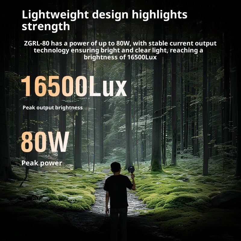 ZGRL80 80 واط COB LED الفيديو  - مراجعة Outdoor Lighting For Photography وسعره