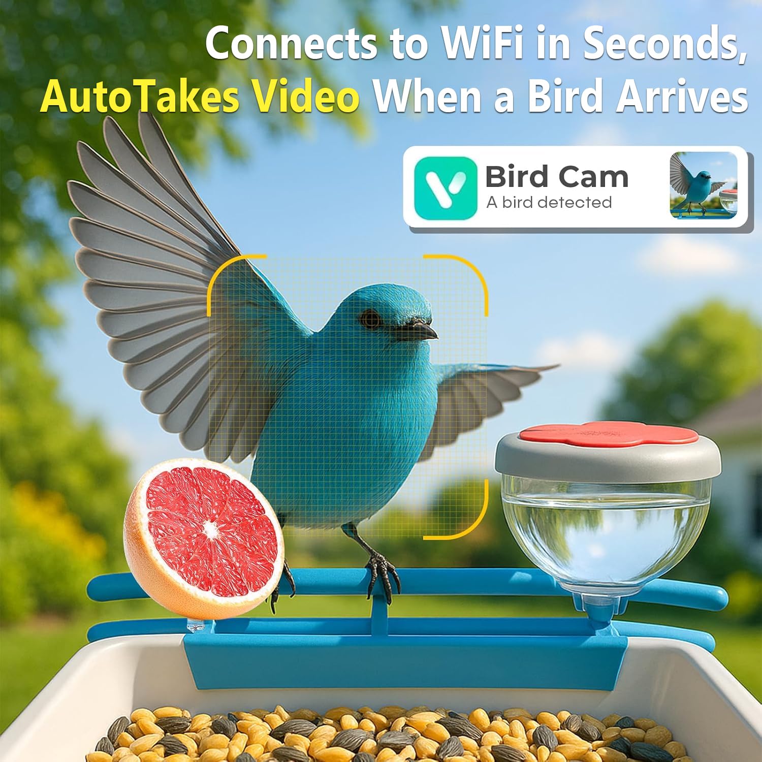 كاميرا ذكية لتغذية الطيور بدقة - مراجعة Motion Sensor Outdoor وسعره